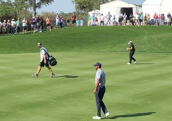 Mikael Elmér and Tiger Woods